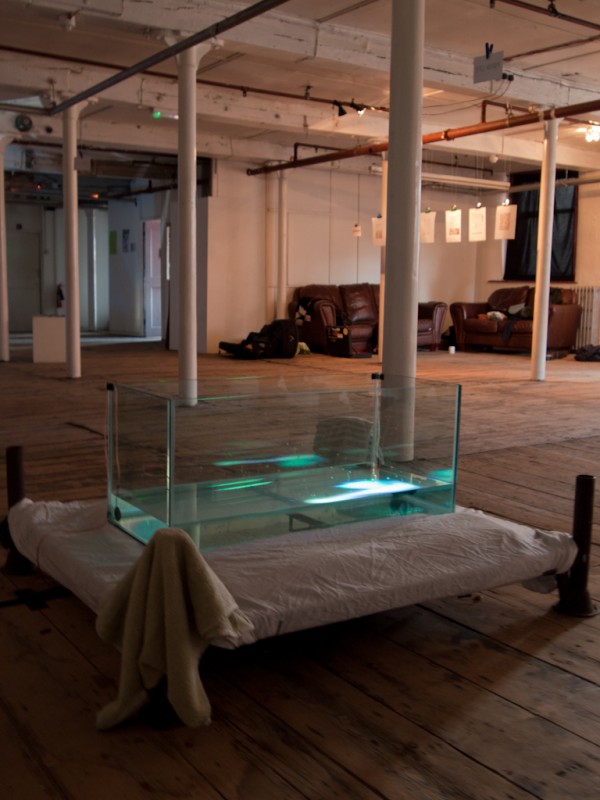 Sam Salem & Patrick Sanan’s ‘Pond Life’ interactive installation.